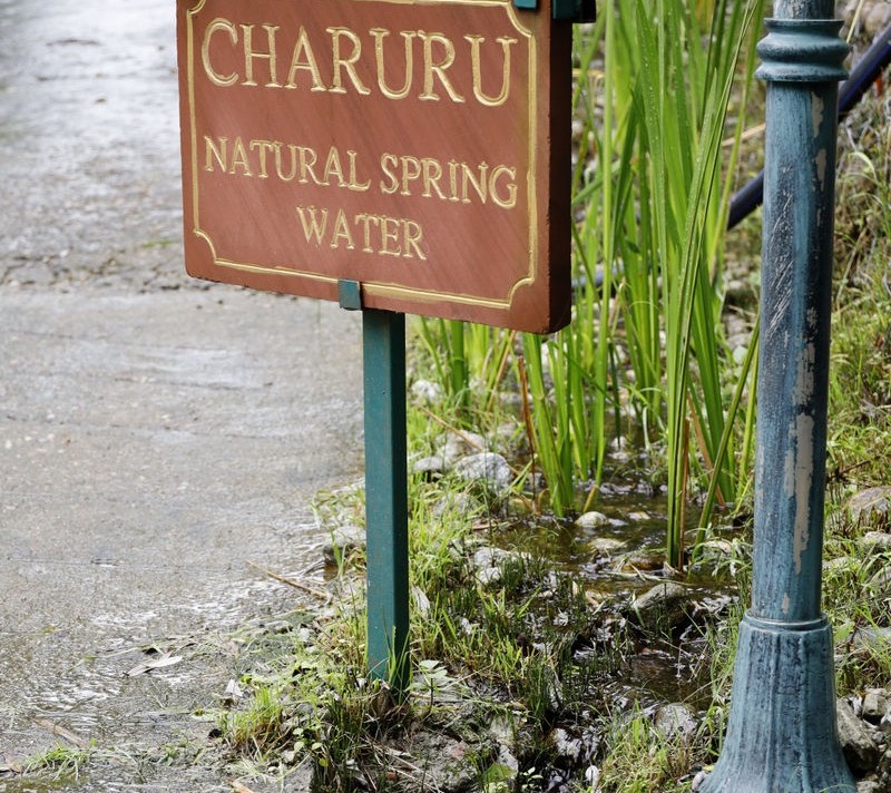 Natural Spring Water - Rakkh Resort Dharamshala