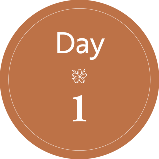 Day 1