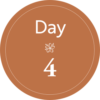 Day 4