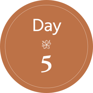 Day 5