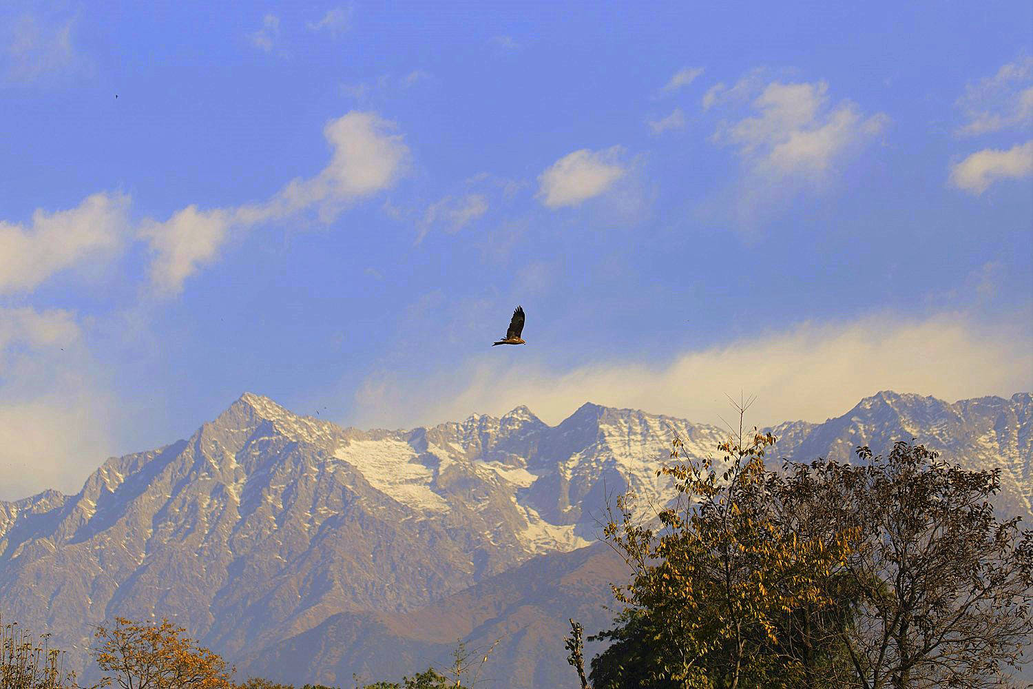 Himalayas in Himachal Pradesh