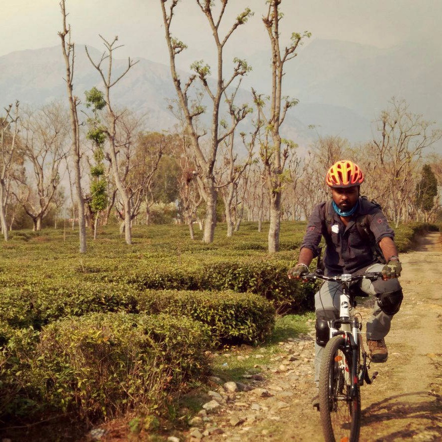 Cycling in TEa Estate Palampur