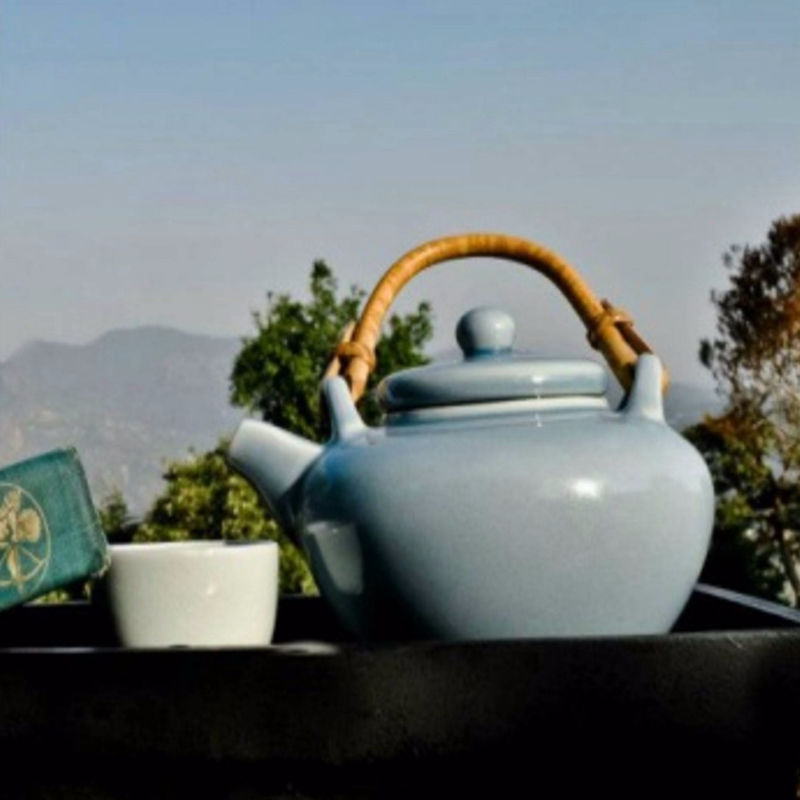 Tea Experience in Himachal Pradesh
