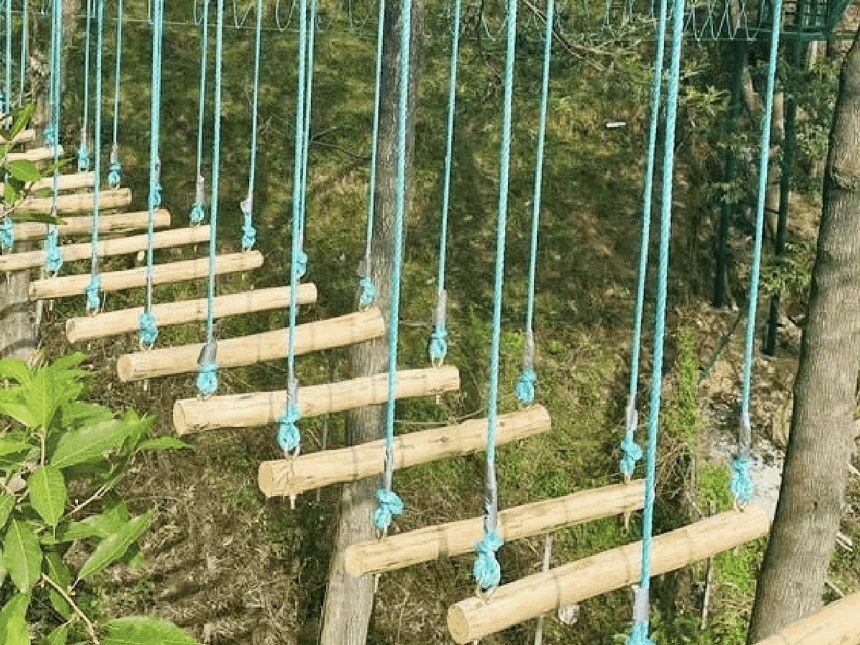Tree Rope Obstacle