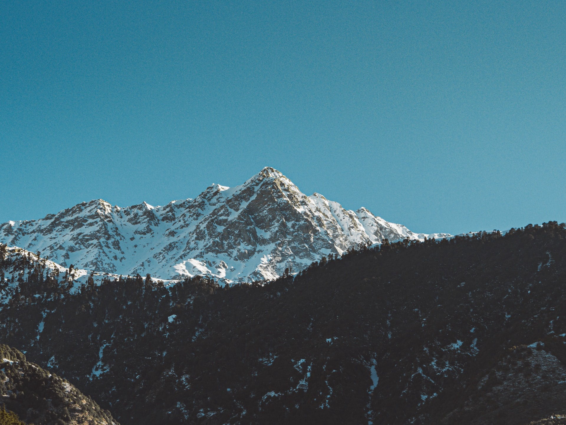 fort near our resort in dharamshala