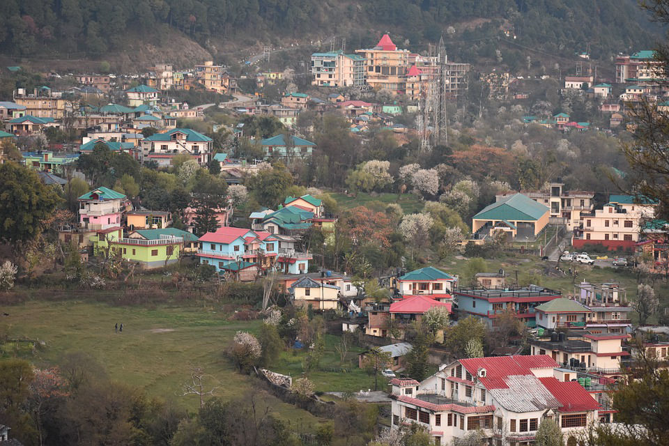  near our resort in dharamshala