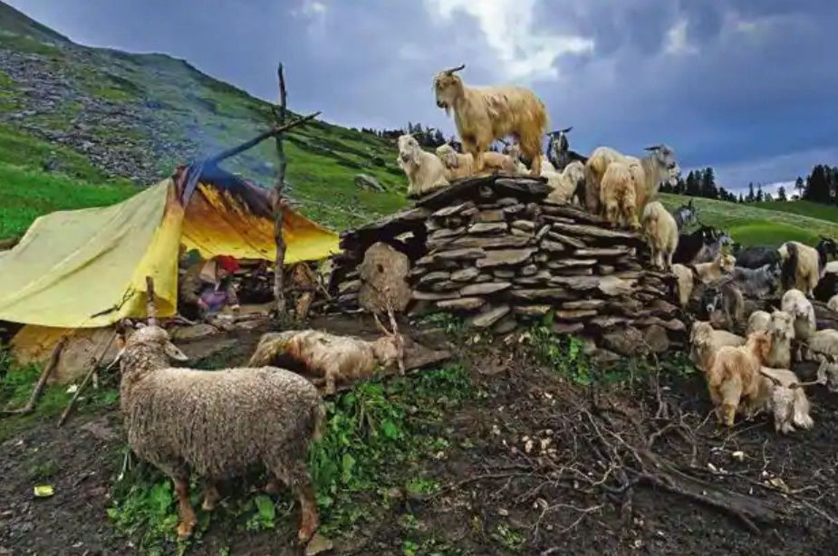 Tribals of Himachal Pradesh