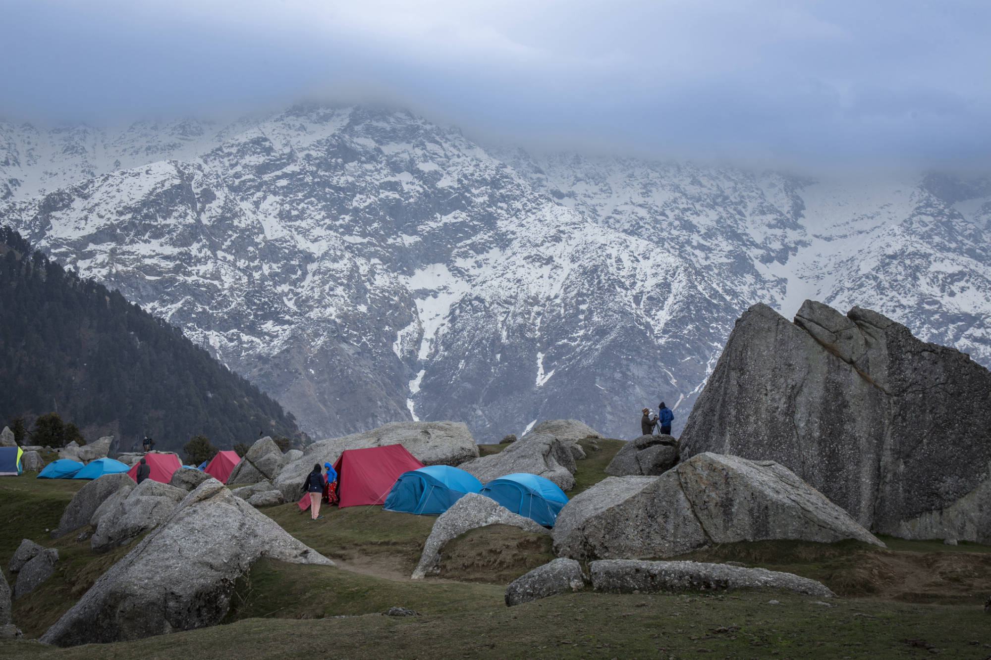 Kullu Trout - Rakkh Patrika