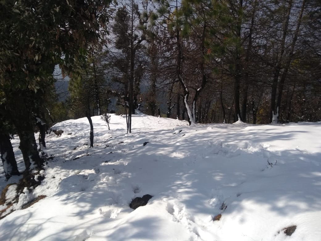 snow near our resort in Himachal