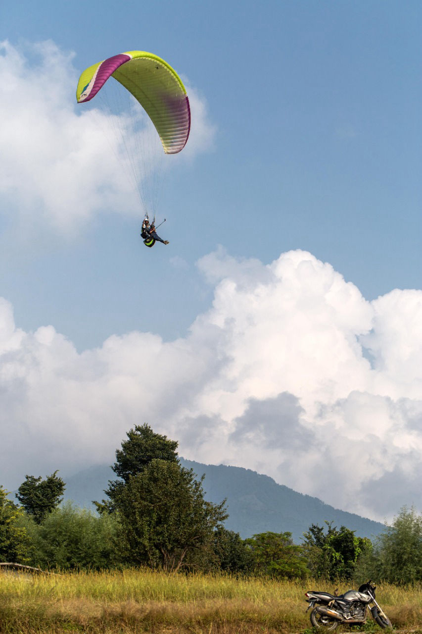 paragliding near our resort in dharamshala