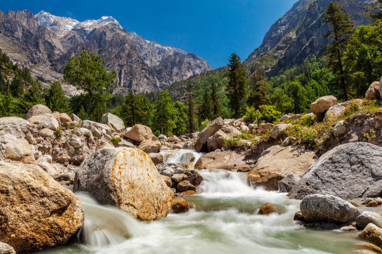 stream near our resort in dharamshala