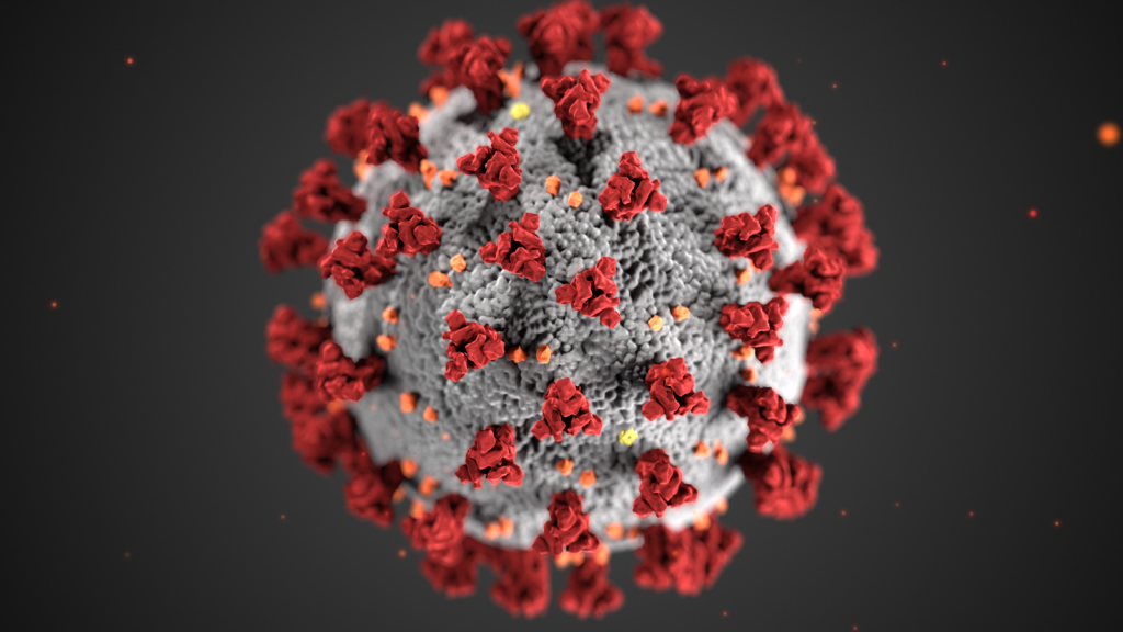 The Covid-19 virus in a closeup diagram.