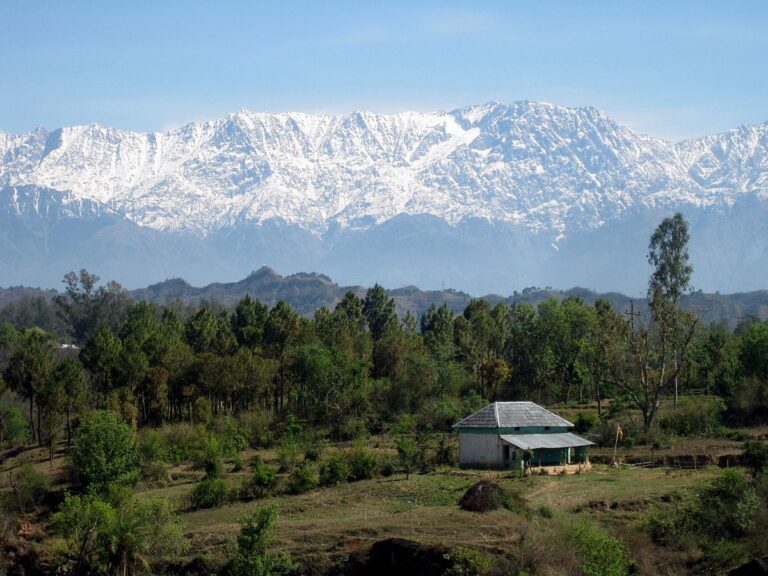 Read more about the article Dhauladhar National Park | Rakkh best Luxury Resort in Dharamshala