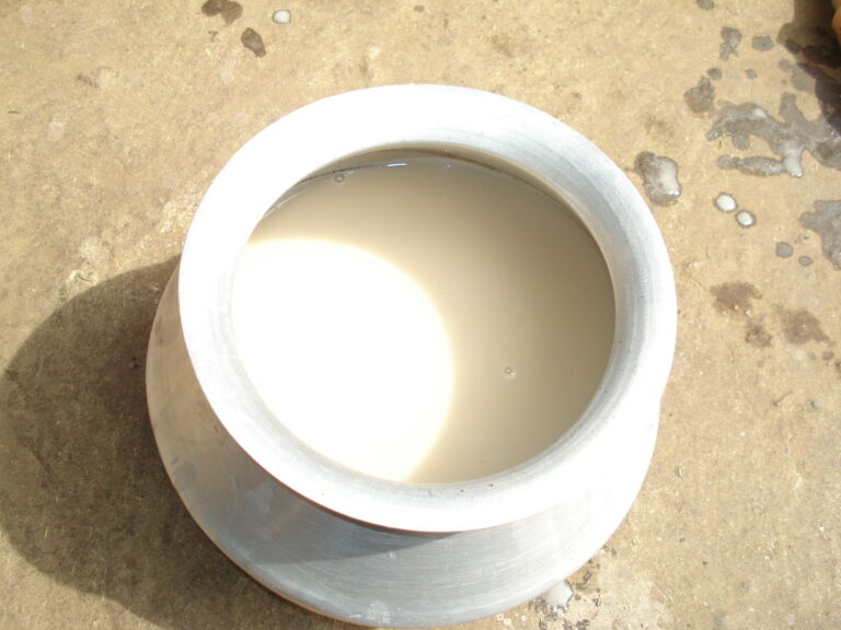 Read more about the article Lugdi | Rakkh resort in dharamshala