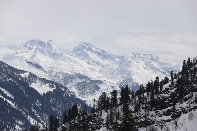 Read more about the article Manali Winter Carnival