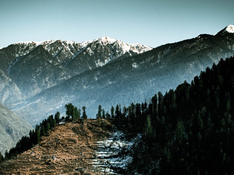 Read more about the article Top 8 Himachal souvenirs that you must purchase