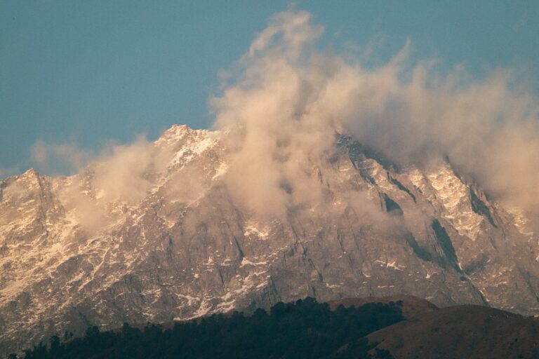 Read more about the article Dhauladhar Wildlife Sanctuary