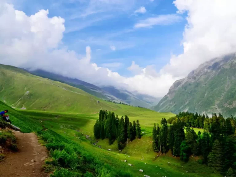 Read more about the article Chail Wildlife Sanctuary