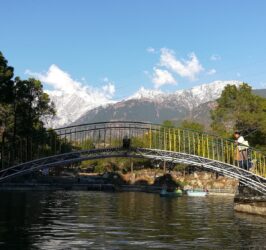 Saurabh Van Vihar, Palampur