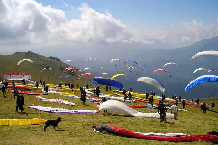 Read more about the article Top activities and places to visit in Bir Billing