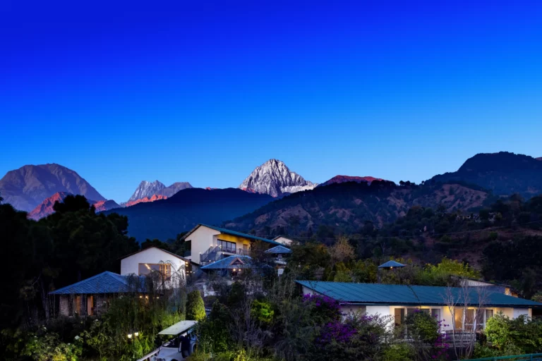Read more about the article Digital Detox Retreat at Rakkh Resort
