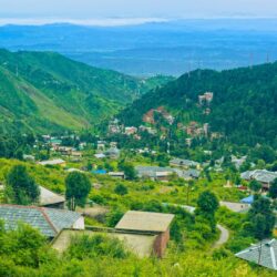 A Celebration of World Forestry Day at Rakkh Resort