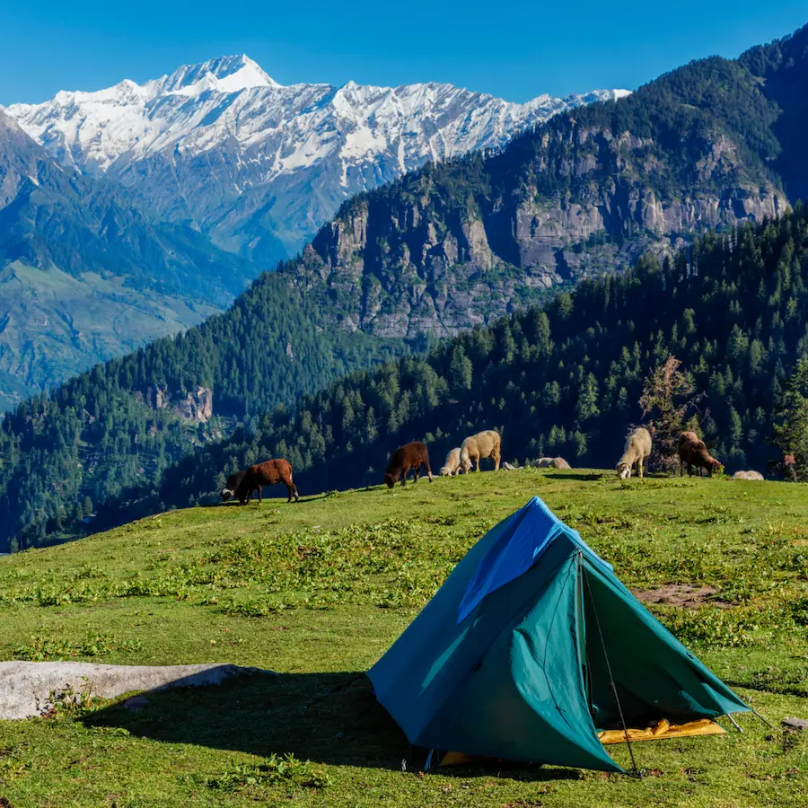 Himachal Pradesh in Spring Season 