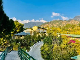 Breathe Deep, Tread Lightly: Unveiling Rakkh Resort’s Eco-Haven in Dharamshala