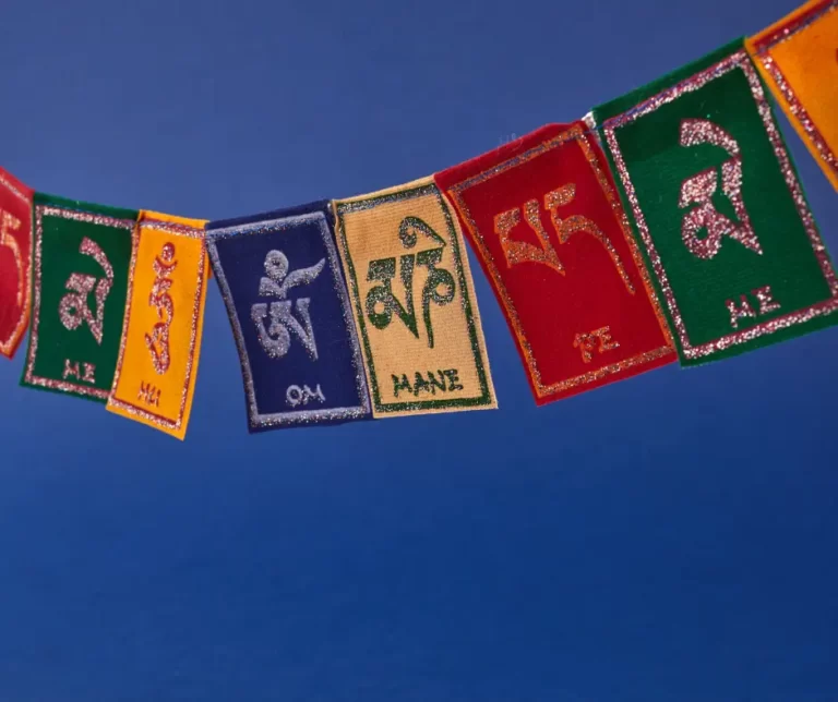 Read more about the article Dharamshala’s Festivals: Celebrating Culture and Tradition