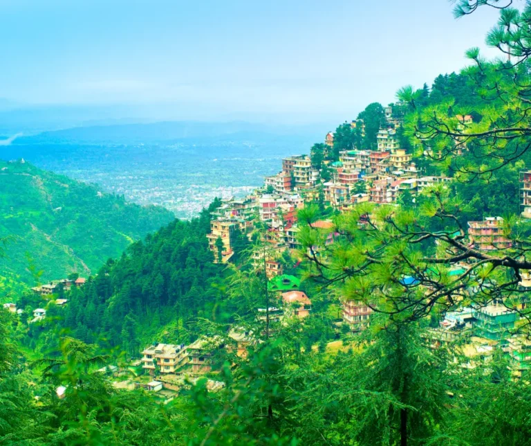 Read more about the article Yoga Retreat in Dharamshala: Find Serenity in the Himalayas