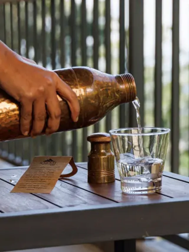 Rakkh Resort’s Sustainable Journey on World Earth Day