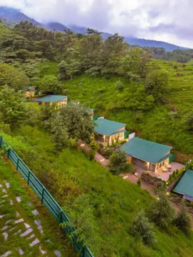 Family Fun: Unwind and Explore Together at Rakkh Resort, Dharamshala