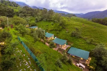 Family Fun: Unwind and Explore Together at Rakkh Resort, Dharamshala