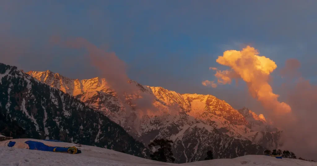 Resort In Dharamshala