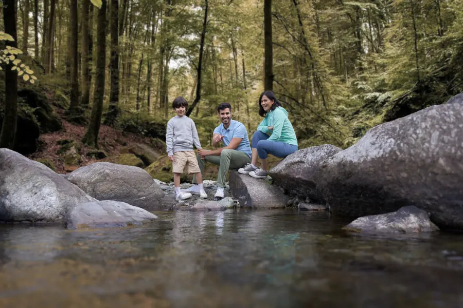 resort in Palampur