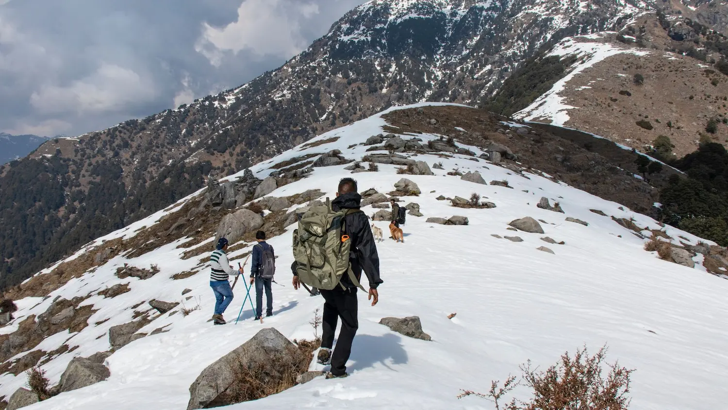 You are currently viewing Not Shimla, Not Manali: January Getaways in the Quiet Hills of Dharamshala
