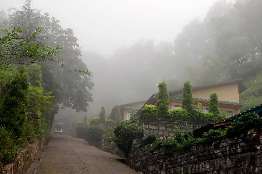 mist filled resort walkway