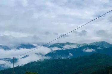 Why Choose Palampur as Your Next Holiday Destination?