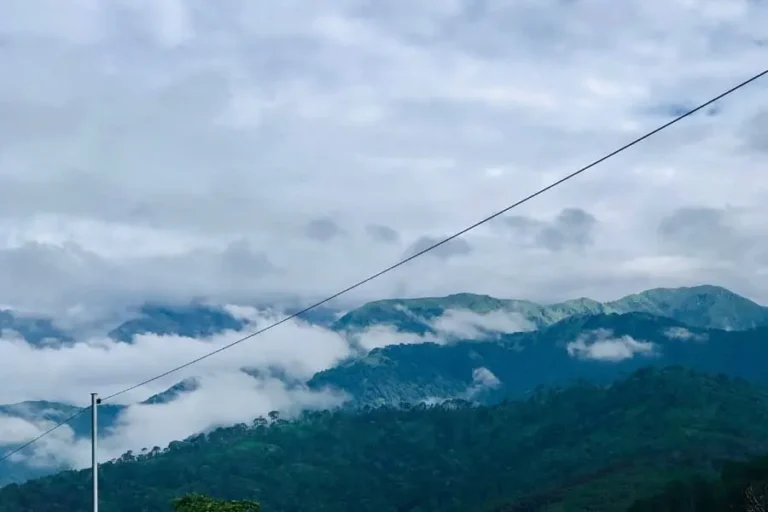 Read more about the article Why Choose Palampur as Your Next Holiday Destination?