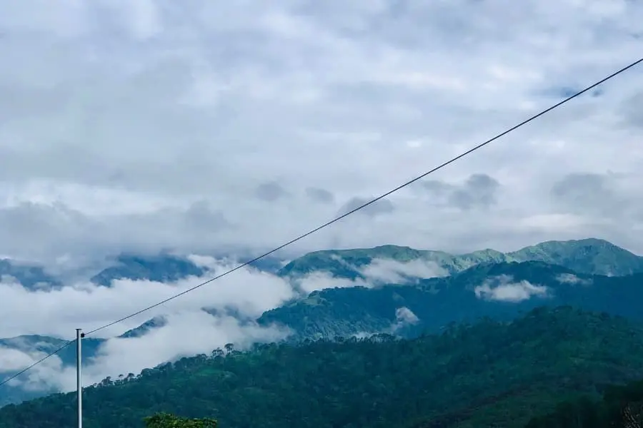 dense foggy mountains