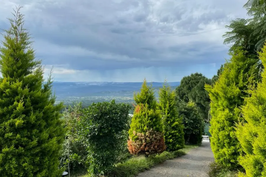 Lush green pathways and mountain views at Rakkh Resort, Dharamshala