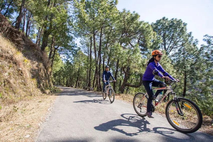 Guests enjoying mountain biking through pine forests at Rakkh Resort, the Best Resort in Dharamshala for outdoor adventures