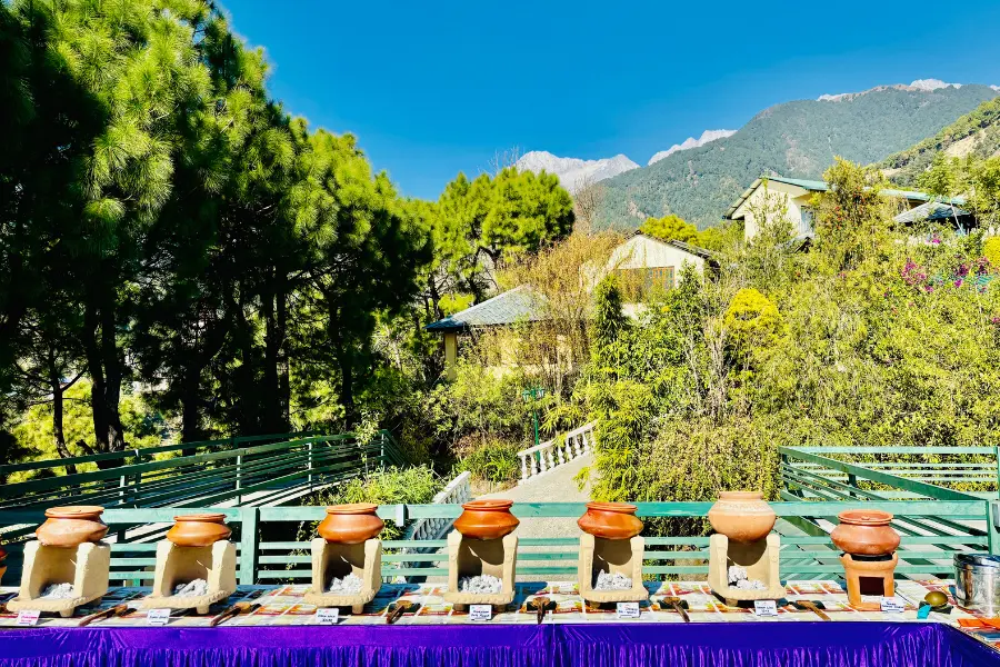 Outdoor live cooking setup with mountain views