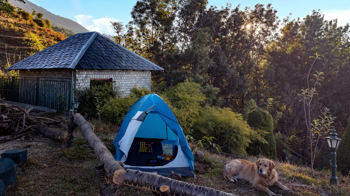 You are currently viewing What a Digital Detox Actually Feels Like at Rakkh