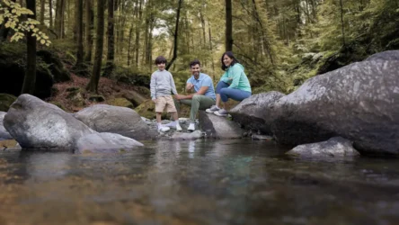 Why Families Connect Better Through Shared Experiences at Rakkh