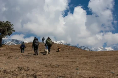 The Five-Minute Walk That Changes How Guests See Rakkh