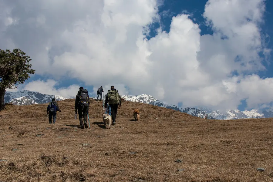 View of guests trekking with dogs at Rakkh Resorts