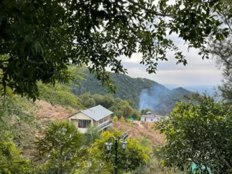 What Makes a Rakkh Cottage Actually Comfortable