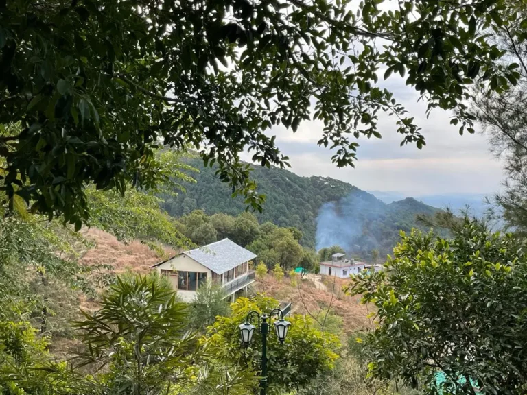 Read more about the article How to Choose the Right Resort in Palampur for a Truly Restful Holiday